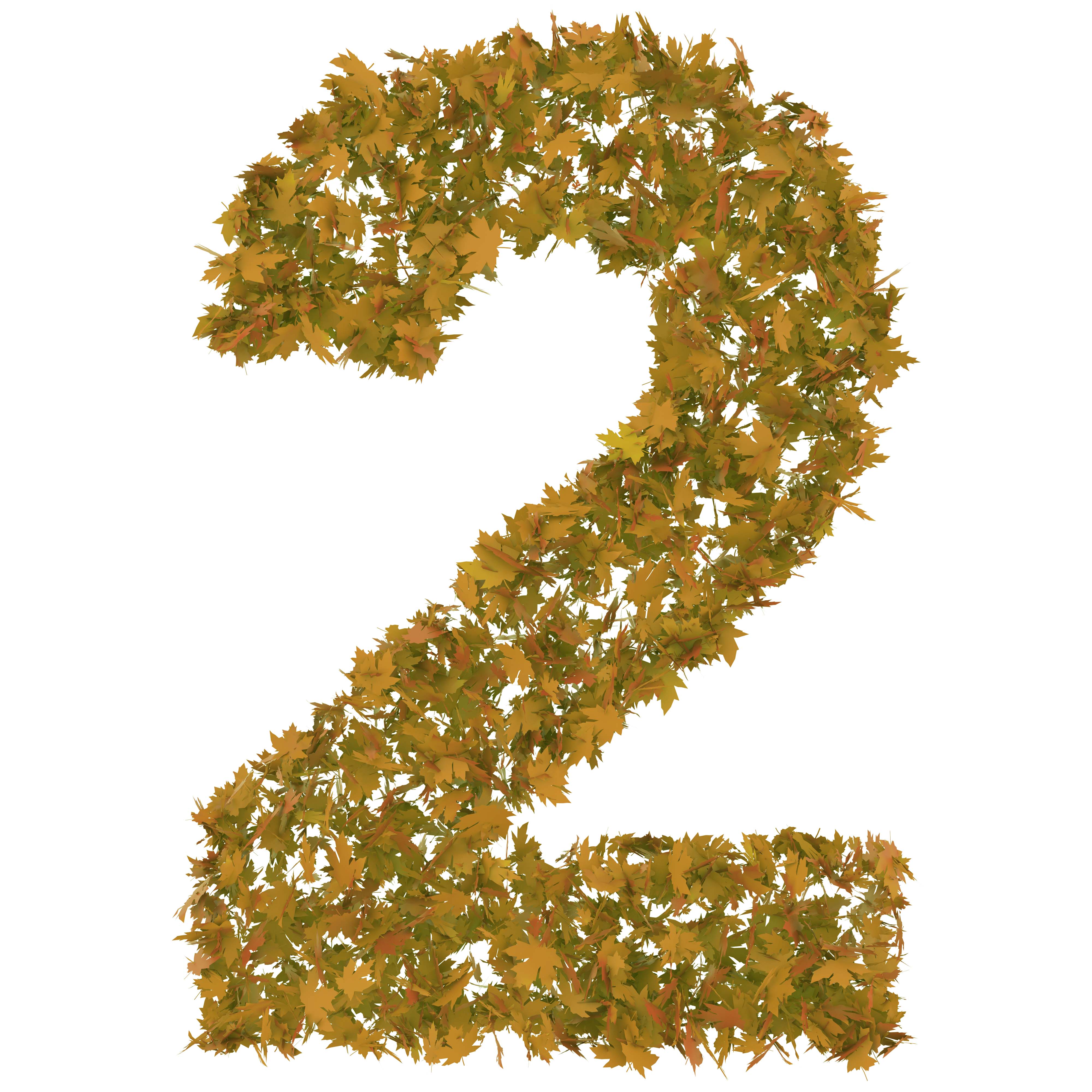 تعیین اهداف مشترک